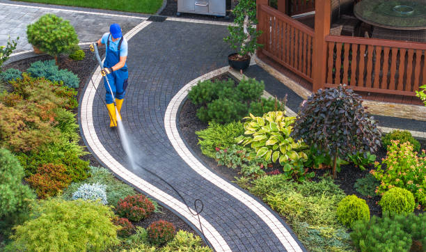 Best Deck Cleaning Services  in West Point, KY